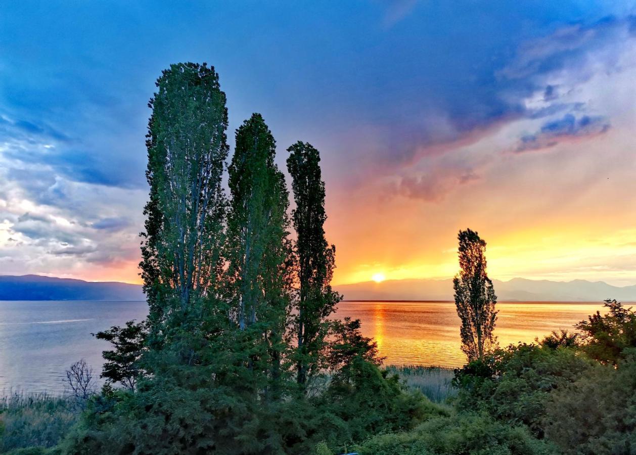 Villa Kalina Ohrid Exterior foto